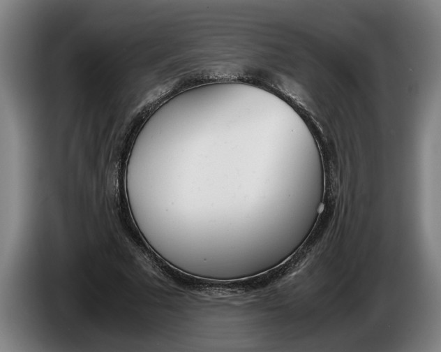 X0000086310681200704202003