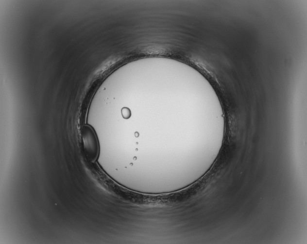 X0000086310682200704202003