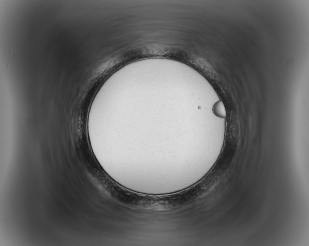 X0000086310683200704202003