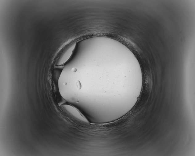 X0000086310684200704202003