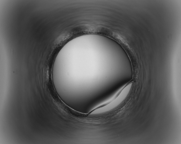 X0000086310685200704202003