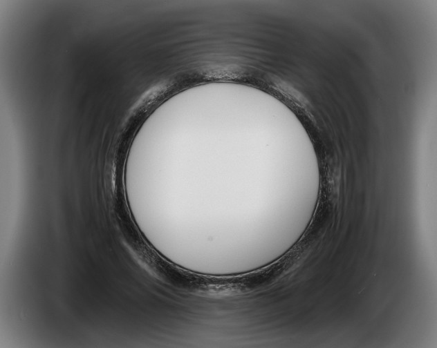 X0000086310686200704202003