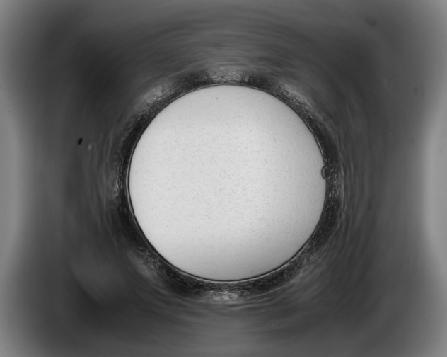 X0000086310687200704202003