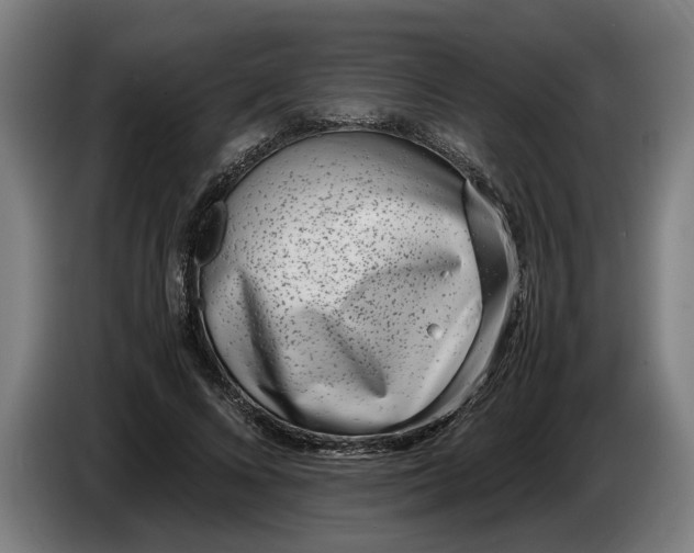 X0000086310688200704202003