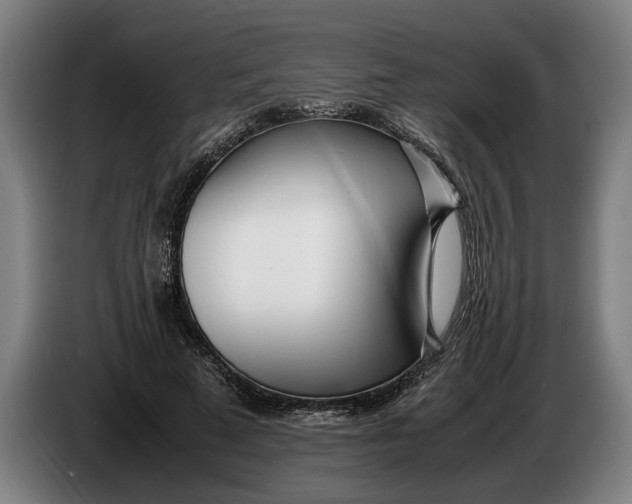 X0000086310689200704202003