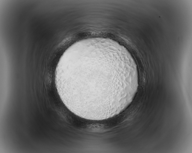 X0000086310691200704202003