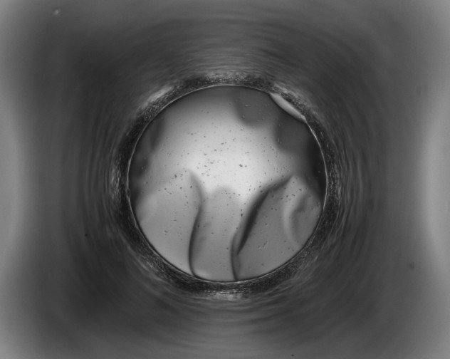 X0000086310692200704202002
