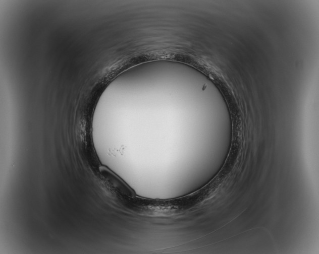 X0000086310693200704202002