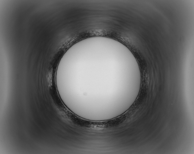 X0000086310694200704202002