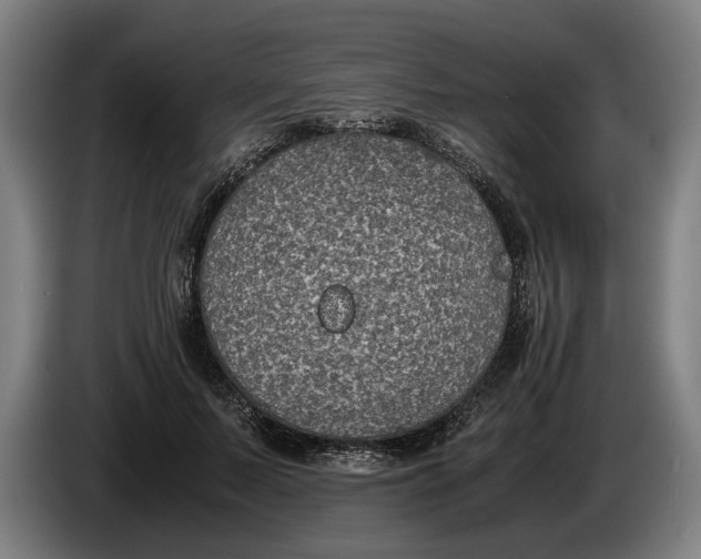 X0000086310695200704202002