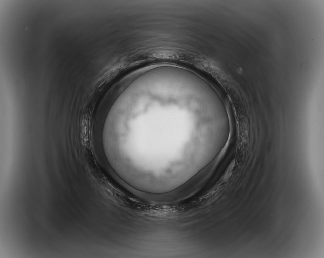 X0000086310696200704202002