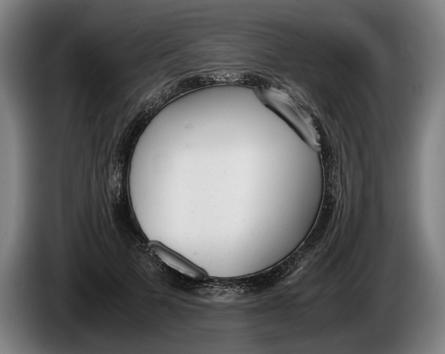 X0000086310697200704202002