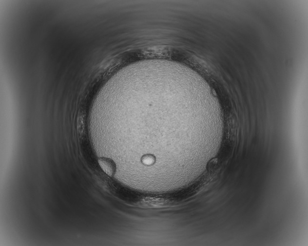 X0000086310699200704202002