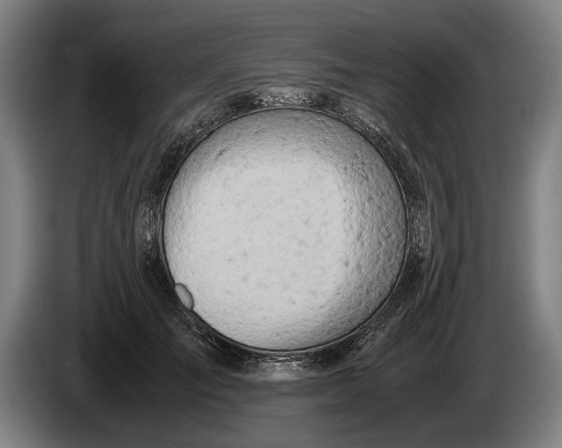 X0000086310701200704202002