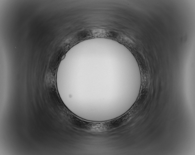 X0000086310705200704202002
