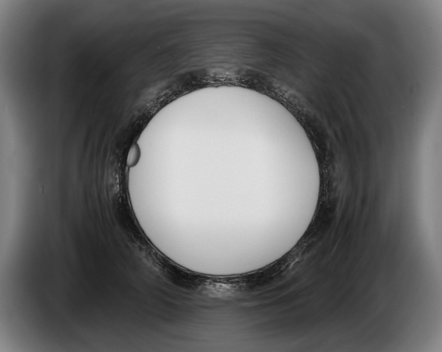 X0000086310706200704202002