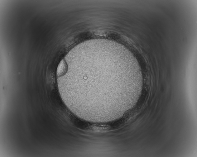 X0000086310707200704202002