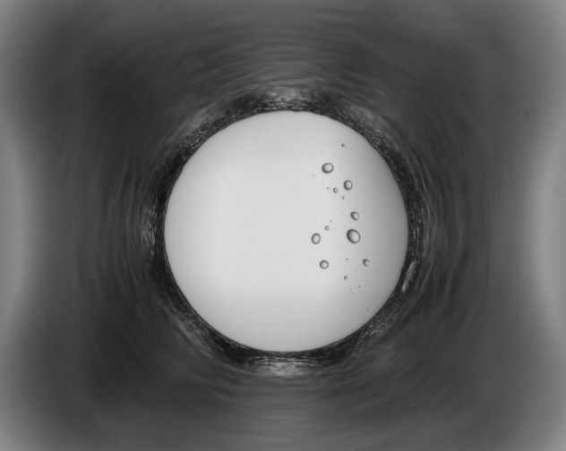 X0000086310710200704202002
