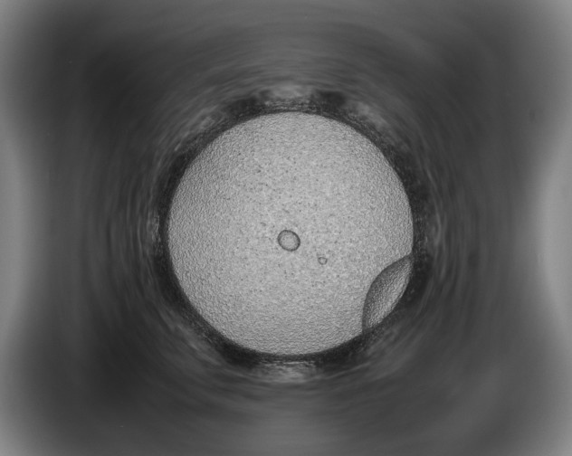 X0000086310711200704202002