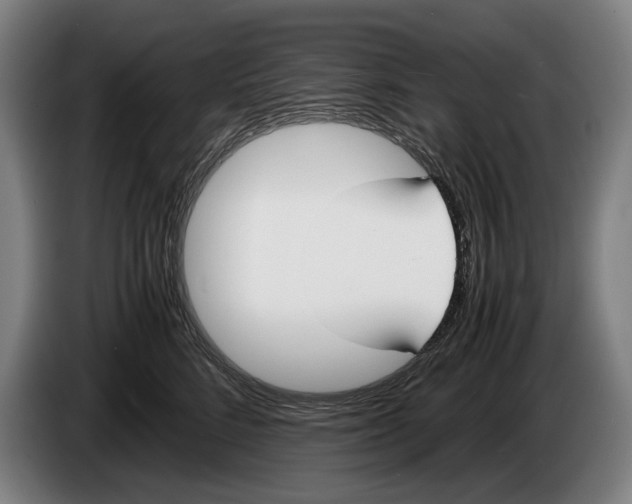 X0000086310712200704202002