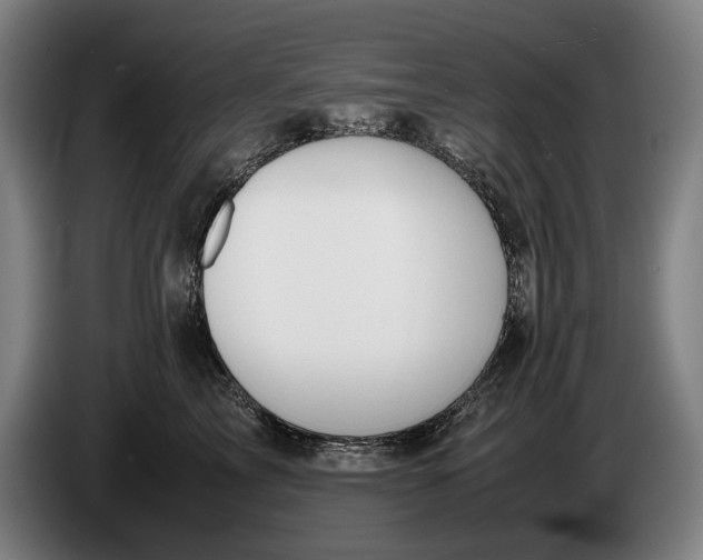 X0000086310713200704202002