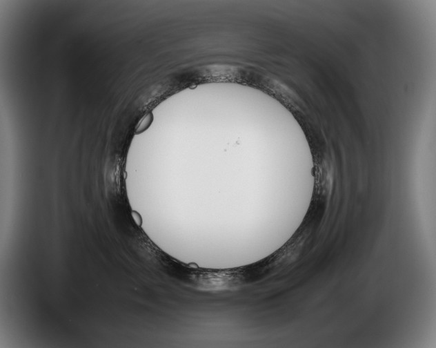 X0000086310717200704202002