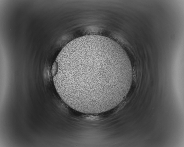 X0000086310718200704202002