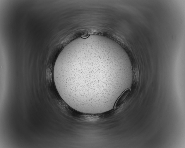 X0000086310719200704202002
