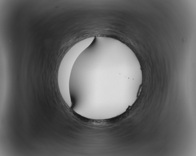 X0000086310720200704202002