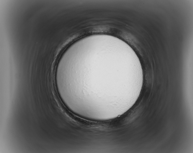 X0000086310721200704202002