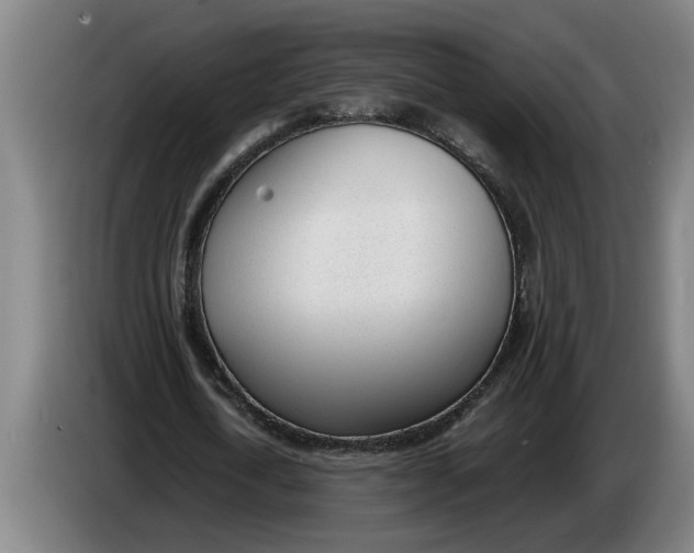 X0000086310722200704202002