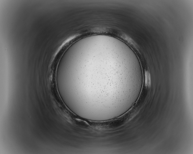 X0000086310723200704202002