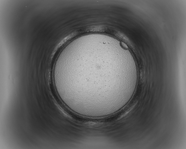 X0000086310725200704202002