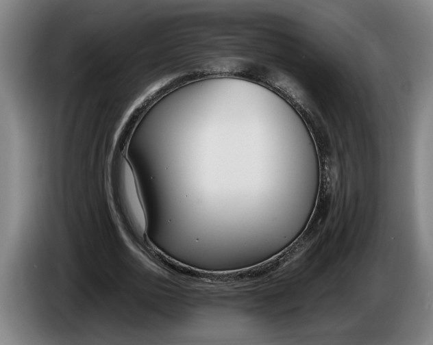 X0000086310726200704202002