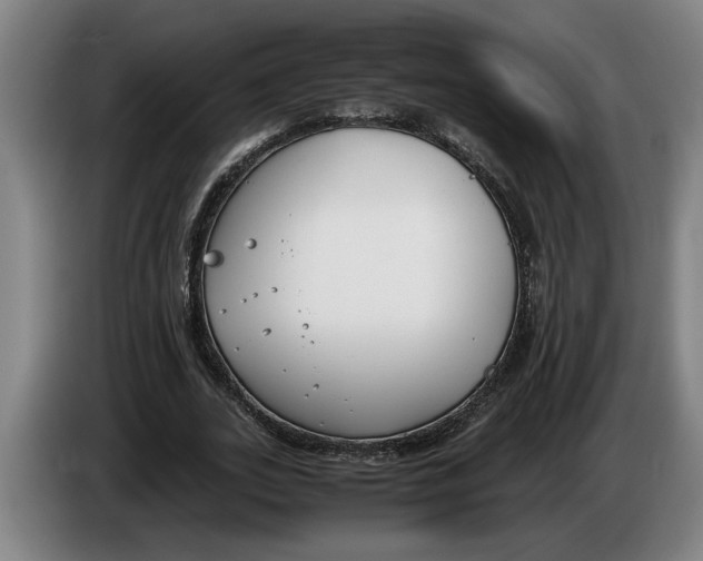 X0000086310727200704202002