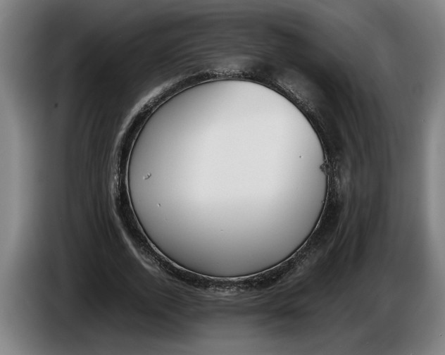X0000086310728200704202002