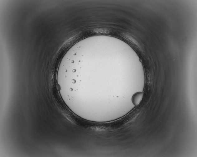 X0000086310733200704202002