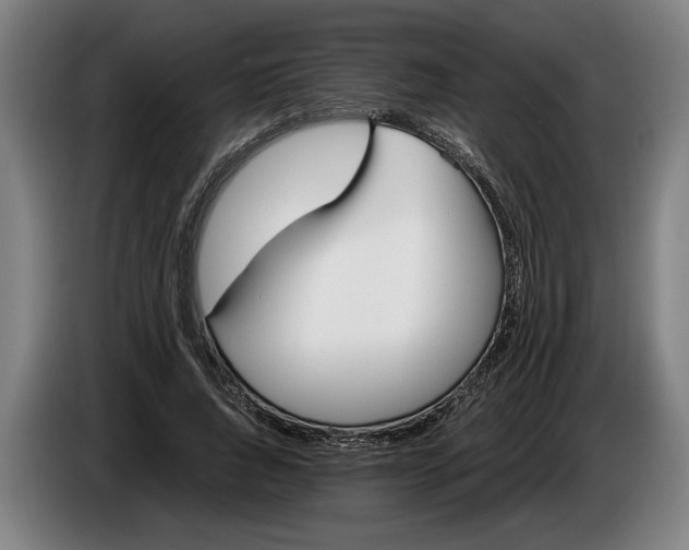 X0000086310736200704202002