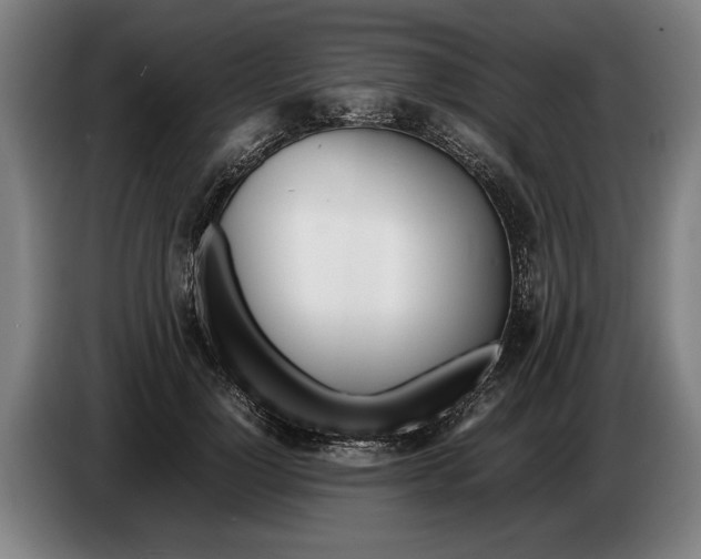 X0000086310748200704202002