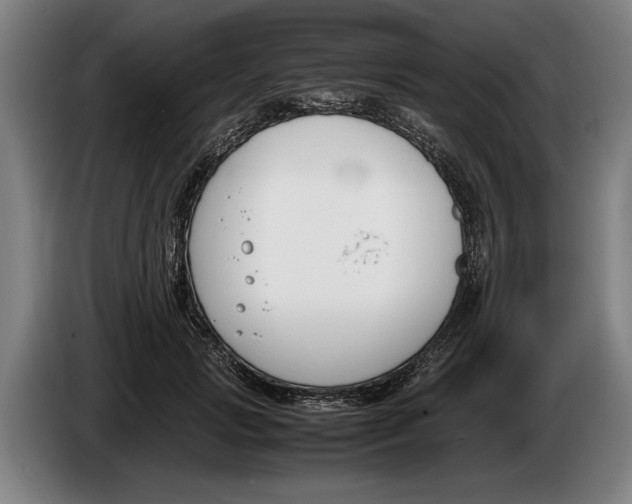 X0000086310749200704202002
