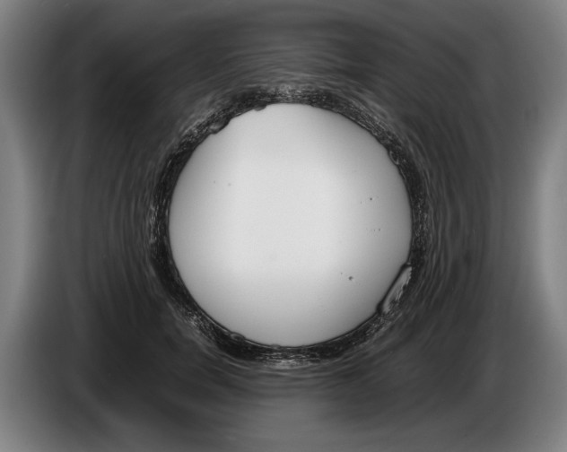 X0000086310750200704202002