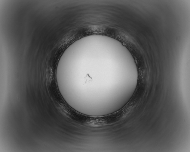 X0000086310752200704202002
