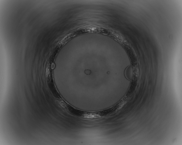X0000086310754200704202002