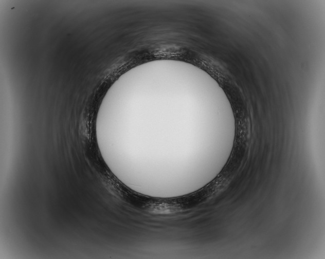 X0000086310755200704202002