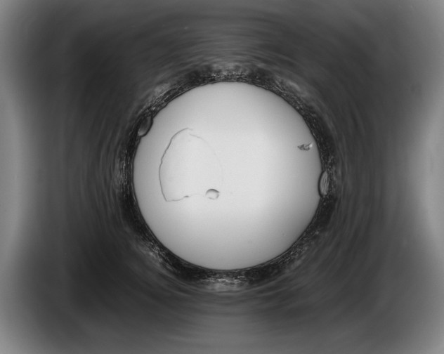 X0000086310756200704202002