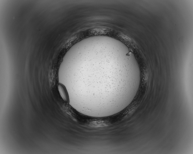 X0000086310759200704202002
