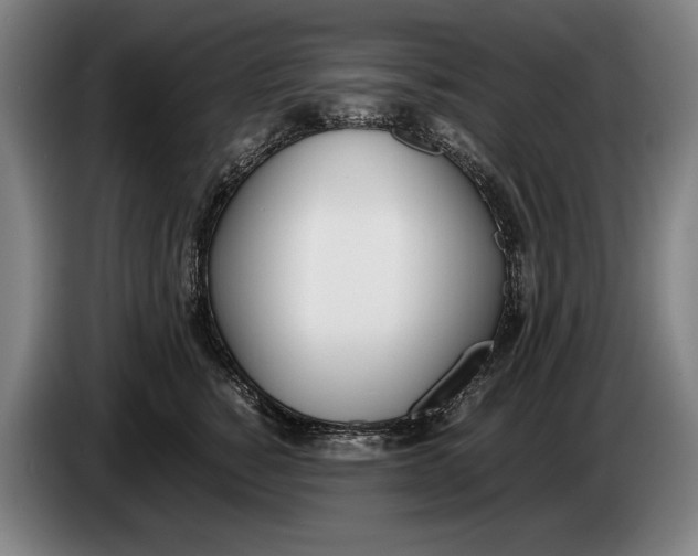 X0000086310760200704202002