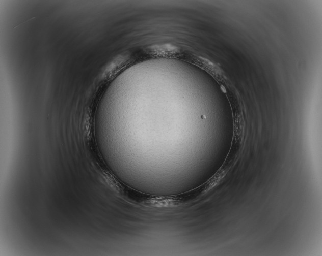 X0000086310762200704202002