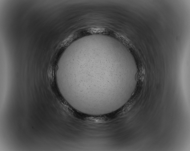 X0000086310763200704202002