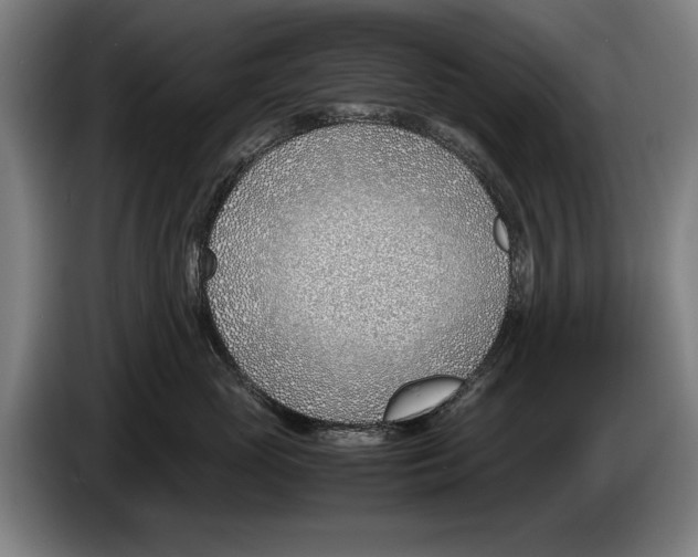 X0000086310765200704202002